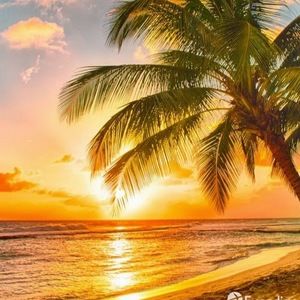 Meet your Posher, Henia